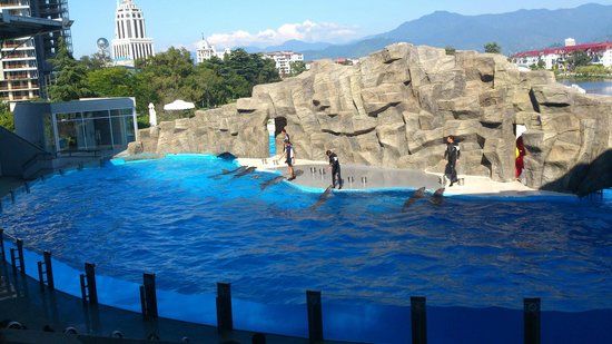 Dolphinarium